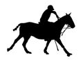 Polo player silhouette Royalty Free Stock Photo