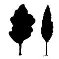 Silhouette Poplar icon tree flora Royalty Free Stock Photo