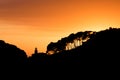 Silhouette of port during sunset orange nautic skyline