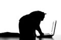 Silhouette portrait of cute cat master the technology using a netbook Royalty Free Stock Photo