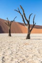 Silhouette portrait of dead tree in deadvlei, Sossusvlei, Namib Naukluft National Park Namibia Royalty Free Stock Photo