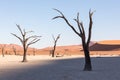 Silhouette portrait of dead tree in deadvlei, Sossusvlei, Namib Naukluft National Park Namibia Royalty Free Stock Photo