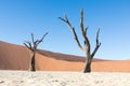 Silhouette portrait of dead tree in deadvlei, Sossusvlei, Namib Naukluft National Park Namibia Royalty Free Stock Photo