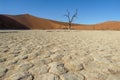 Silhouette portrait of dead tree in deadvlei, Sossusvlei, Namib Naukluft National Park Namibia Royalty Free Stock Photo