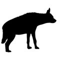Silhouette of the potted hyena on a white background
