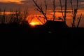 Silhouette of power lines and branches against the dark sunset sky with the sun Royalty Free Stock Photo