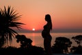 Silhouette of a pregnant woman on the beach at sunset Royalty Free Stock Photo