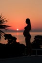 Silhouette of a pregnant woman on the beach at sunset Royalty Free Stock Photo