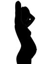 Silhouette of the pregnant woman. Fetus