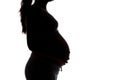 Silhouette of pregnant woman, no face Royalty Free Stock Photo