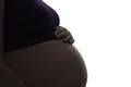 Silhouette of pregnant woman`s belly with hands touching it on white isolated background, new life concept Royalty Free Stock Photo