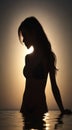 silhouette of a woman in a bikini, silhouette of a woman in the sunset, silhouette of a person in the water