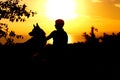 Silhouette profile of German Shepherd dog obediently sitting nearby his owner man, boy walking on nature with pet at sunset in a Royalty Free Stock Photo