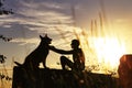 Silhouette profile of man and dog with plant in the foreground playing on nature, boy train German Shepherd at sunset in a field, Royalty Free Stock Photo