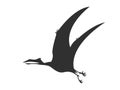 Silhouette Pterosaur dinosaur jurassic prehistoric animal black