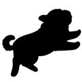 Silhouette of Pug puppy jumping and playing Royalty Free Stock Photo