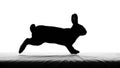Silhouette of a rabbit in mid-leap, set against a stark white background Royalty Free Stock Photo