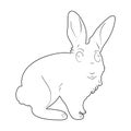 Silhouette rabbit on white background. Pets and farm animals collection. Royalty Free Stock Photo