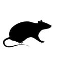 Silhouette of the rat or mouse is sitting on a white background Royalty Free Stock Photo