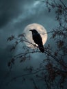 Silhouette of a raven perched on a branch under full moon Royalty Free Stock Photo