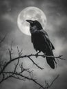 Silhouette of a raven perched on a branch under full moon Royalty Free Stock Photo