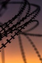 Silhouette Razor Barbed Tape Wire And light in the evening. Royalty Free Stock Photo