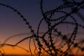 Silhouette Razor Barbed Tape Wire And light in the evening. Royalty Free Stock Photo