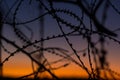 Silhouette Razor Barbed Tape Wire And light in the evening. Royalty Free Stock Photo