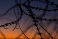 Silhouette Razor Barbed Tape Wire And light in the evening. Royalty Free Stock Photo