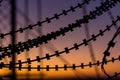 Silhouette Razor Barbed Tape Wire And light in the evening. Royalty Free Stock Photo