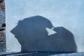 Silhouette of real couple of young women, kissing and forming a heart with their shadow. Concept lgtbiq+, lesbians, marriage,