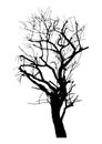 Silhouette of realistic dead tree for halloween decoration