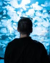 Silhouette rear view of a man looking at jellyfish inside the aquarium