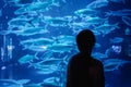 Silhouette rear view of a woman looking fishes inside the Jakarta Aquarium & Safari in Indones