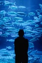 Silhouette rear view of a woman looking at fishes inside the Jakarta Aquarium & Safari in Indonesia