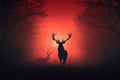 Silhouette of a red deer in a misty forest, Red deer stag silhouette in the mist, AI Generated Royalty Free Stock Photo