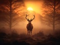 Silhouette of a red deer stag Royalty Free Stock Photo
