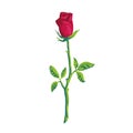 Silhouette red rose element Rose icon isolated on white background embroidery