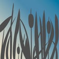 Silhouette of Reed Bush Royalty Free Stock Photo