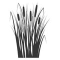 Silhouette of a reed in the green grass. Swamp and river plants. Cattail isolated on white background. Vector flat