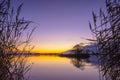 Silhouette of Reed with serene Lake during Sunset