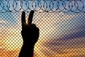 Silhouette refugee arms near the border fence Royalty Free Stock Photo