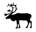 Silhouette of the reindeer