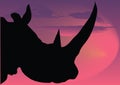 Silhouette of rhinoceros