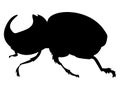 Silhouette of rhinoceros beetle