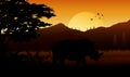 Silhouette of rhinos at savanah Royalty Free Stock Photo