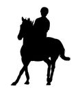 Silhouette of a rider on a horse Royalty Free Stock Photo