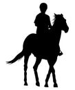 Silhouette of a rider on a horse Royalty Free Stock Photo