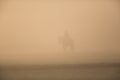 Silhouette of rider with horse in the morning dust Royalty Free Stock Photo