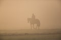 Silhouette of rider with horse in the morning dust Royalty Free Stock Photo